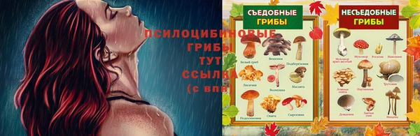 молекула духа Абдулино