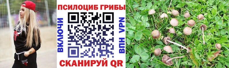 как найти закладки  Югорск  Псилоцибиновые грибы Psilocybine cubensis 